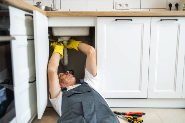 Best Plumbing Inspection Services  in Rockford, MN