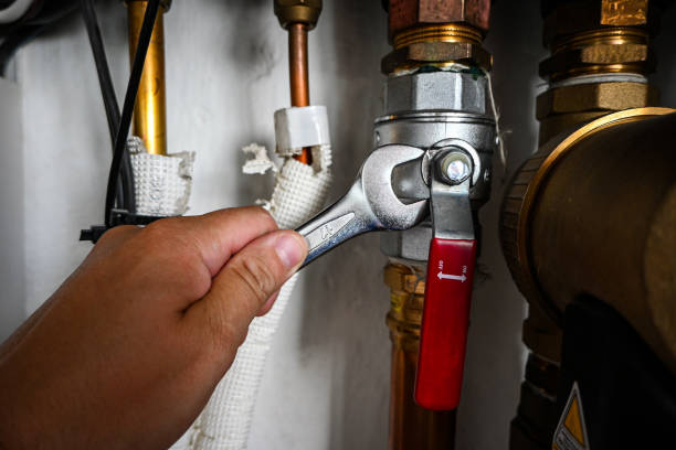 Best Affordable Plumber Near Me  in Rockford, MN